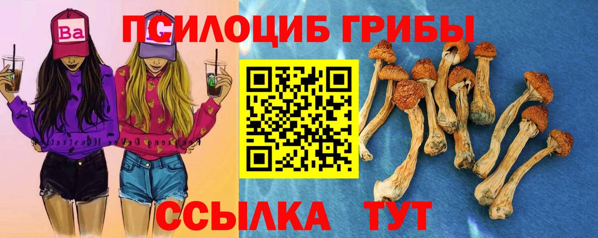 Галлюциногенные грибы ЛСД Калач-на-Дону