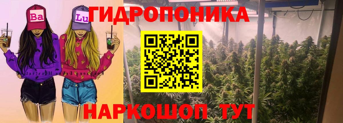 Канабис семена  Марихуана MAZAR  Калач-на-Дону  Вход с VPN  МАРИХУАНА THC 21%  Марихуана OG Kush 